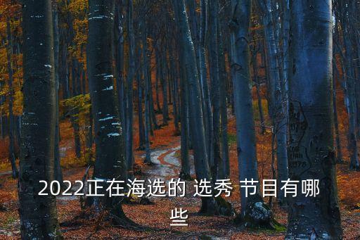 選秀節(jié)目有哪些,《這就是歌手》第四季廣東深圳正式報名