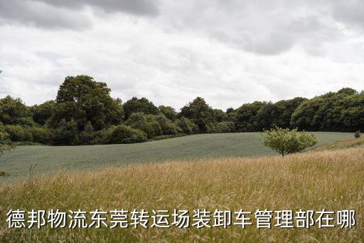 東莞石排貨物裝卸碼頭，東莞哪個碼頭可以卸散裝水泥罐