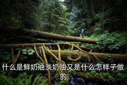 什么是鮮奶油淡奶油又是什么怎樣子做的