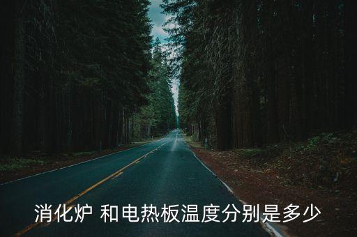 消化爐 和電熱板溫度分別是多少