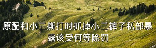 東莞扒小三褲子視頻，實(shí)拍原配當(dāng)街暴打小三撕爛內(nèi)衣發(fā)生在哪里呀 口音像是四川的