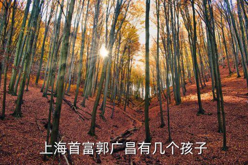 上海首富郭廣昌有幾個孩子