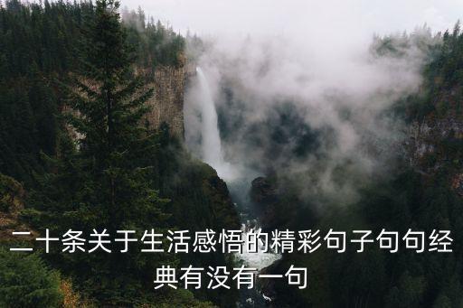 二十條關(guān)于生活感悟的精彩句子句句經(jīng)典有沒有一句