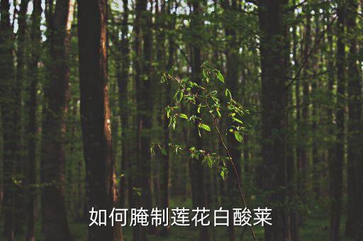 如何腌制蓮花白酸萊