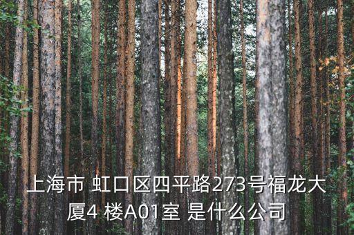 上海市 虹口區四平路273號福龍大廈4 樓A01室 是什么公司