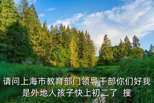 請(qǐng)問(wèn)上海市教育部門(mén)領(lǐng)導(dǎo)干部你們好我是外地人孩子快上初二了  搜