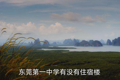 東莞中學需要住宿嗎，東莞公立初中是寄宿還是走讀