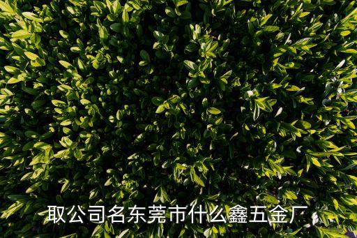 取公司名東莞市什么鑫五金廠