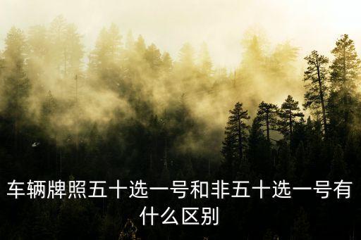 車輛牌照五十選一號和非五十選一號有什么區(qū)別