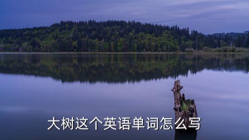 大樹這個英語單詞怎么寫