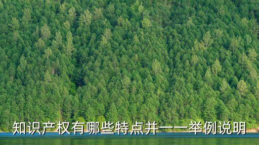 知識產權有哪些特點并一一舉例說明