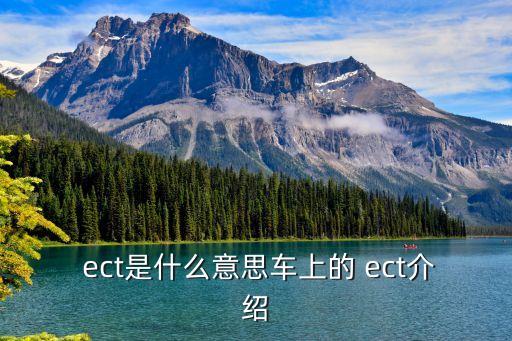 ect是什么意思車上的 ect介紹