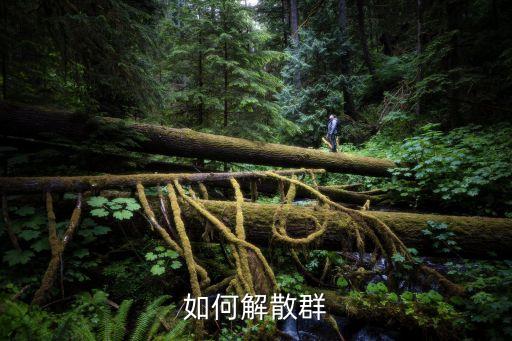如何解散群