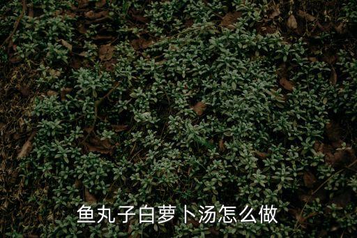 魚(yú)丸子白蘿卜湯怎么做