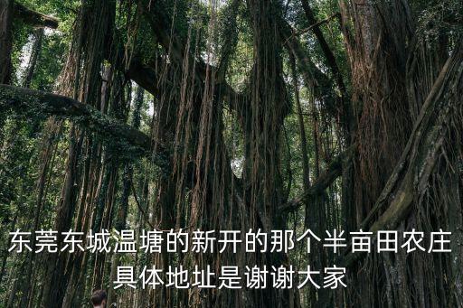 東莞東城溫塘的新開的那個半畝田農莊具體地址是謝謝大家