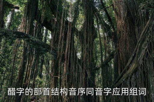 醋字，醋的多音字形近字同音字加偏旁去偏旁