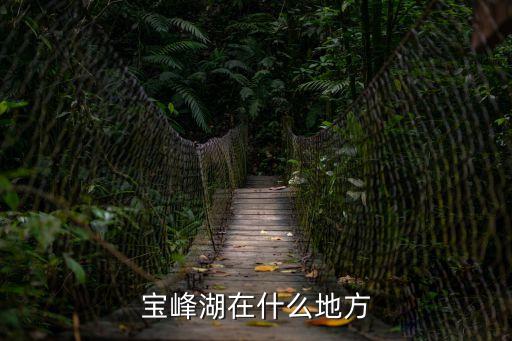 寶峰湖在什么地方