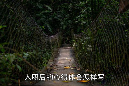 入職感受，入職感想怎么寫