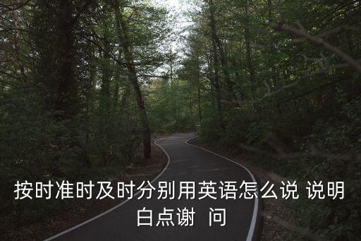 及時的英語，按時準時及時分別用英語怎么說
