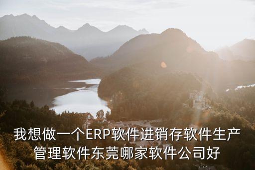 我想做一個ERP軟件進銷存軟件生產管理軟件東莞哪家軟件公司好