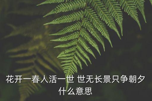 花開(kāi)一春人活一世 世無(wú)長(zhǎng)景只爭(zhēng)朝夕什么意思