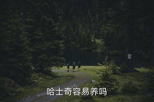 哈士奇好養(yǎng)嗎，哈士奇容易養(yǎng)嗎