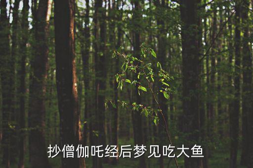 夢見吃大魚，抄僧伽吒經后夢見吃大魚