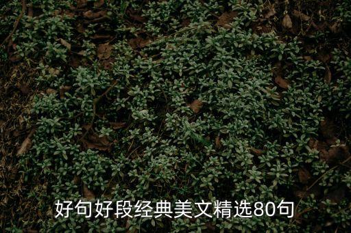 美文精選，美文精選有哪些