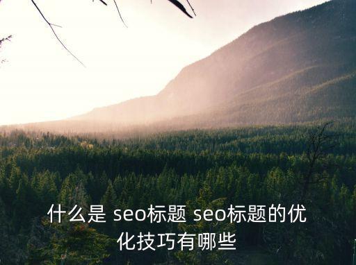 什么是 seo標題 seo標題的優化技巧有哪些