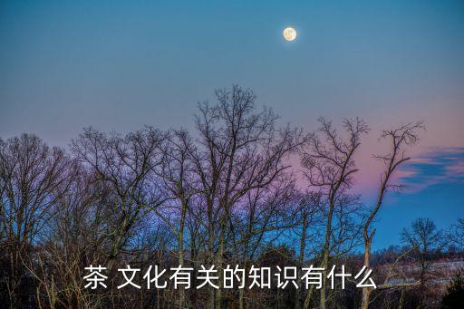 茶的文化