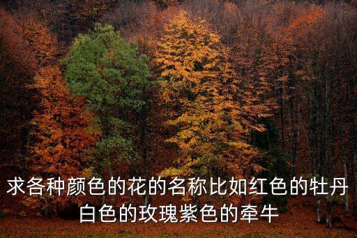 求各種顏色的花的名稱比如紅色的牡丹白色的玫瑰紫色的牽牛