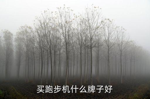 買跑步機什么牌子好