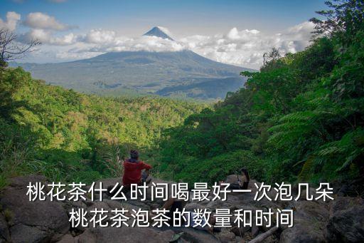  桃花茶什么時間喝最好一次泡幾朵 桃花茶泡茶的數量和時間
