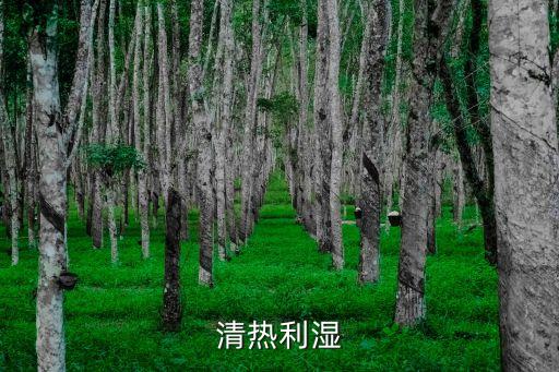 清熱利濕