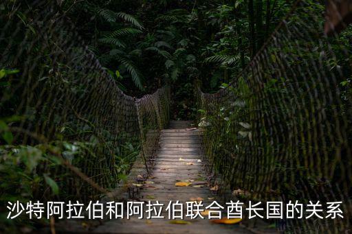 沙特阿拉伯和阿拉伯聯合酋長國的關系