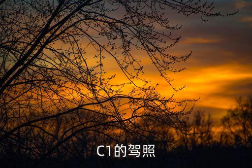 C1的駕照