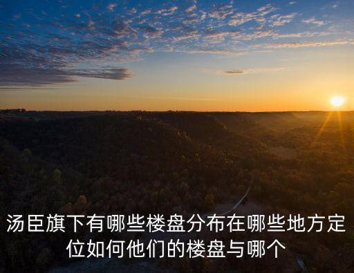 湯臣旗下有哪些樓盤分布在哪些地方定位如何他們的樓盤與哪個