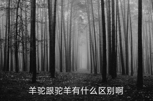 羊駝跟駝羊有什么區(qū)別啊