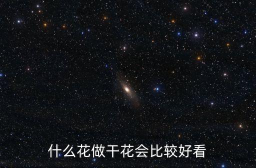 干花插花，干花可以跟鮮花一起插嗎花瓶里加水的那種