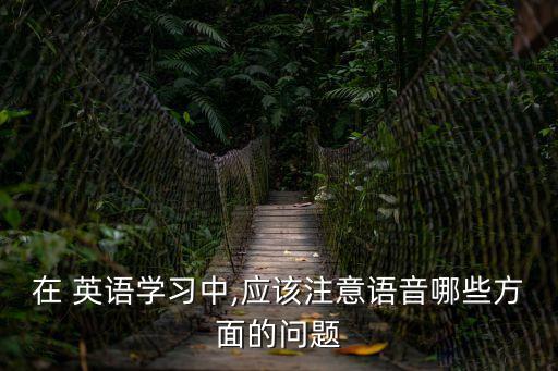 在 英語學習中,應該注意語音哪些方面的問題