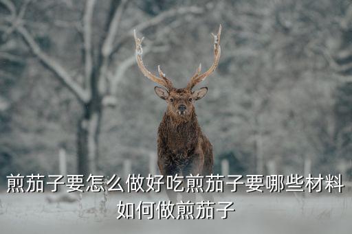 煎茄子要怎么做好吃煎茄子要哪些材料如何做煎茄子