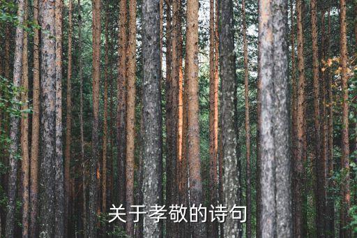 關于孝敬的詩句