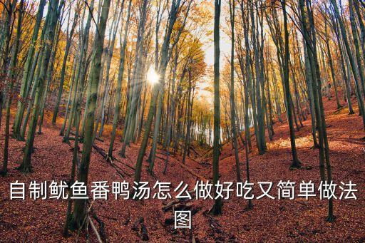 自制魷魚番鴨湯怎么做好吃又簡單做法圖