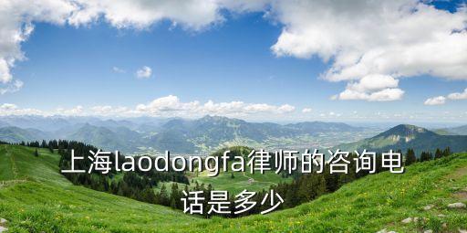 上海laodongfa律師的咨詢電話是多少