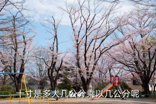 十寸是多大幾公分乘以幾公分呢