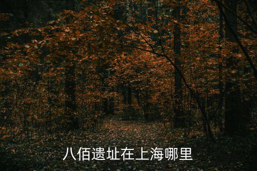 八佰遺址在上海哪里