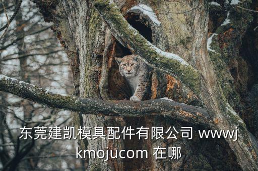 東莞建凱模具配件有限公司 wwwjkmojucom 在哪