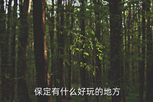  保定有什么好玩的地方