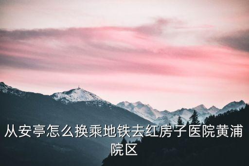 從安亭怎么換乘地鐵去紅房子醫院黃浦院區