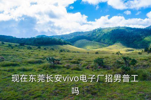 現在東莞長安vivo電子廠招男普工嗎